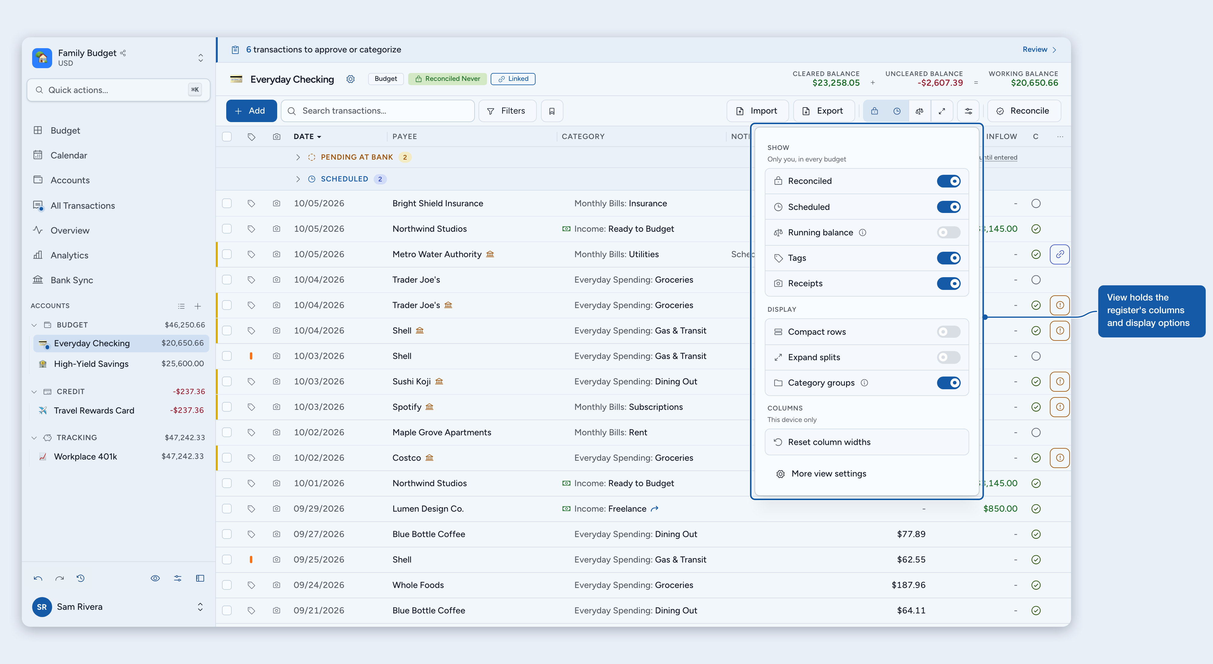 The View options and quick toggle buttons on an account register