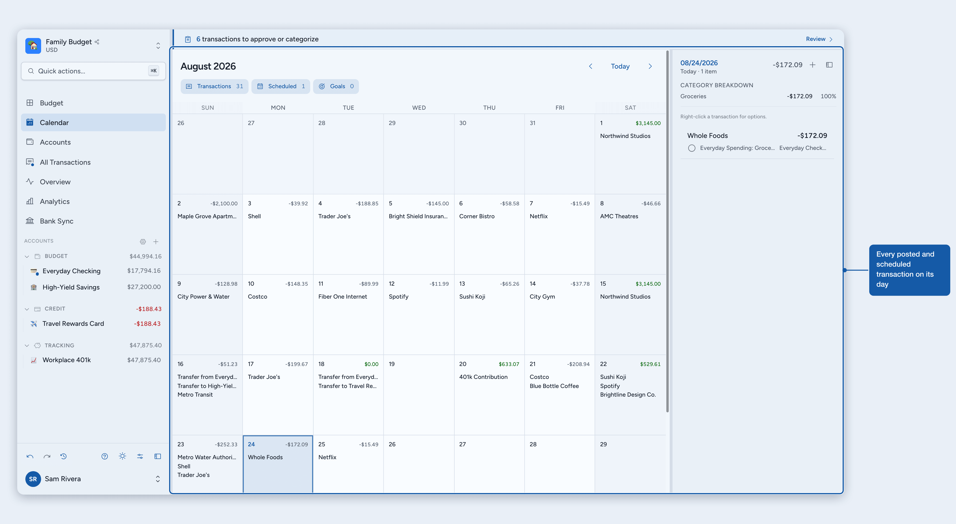 The calendar showing each day's transactions with a day breakdown panel